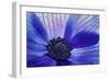 Windsong-Dawn LeBlanc-Framed Photographic Print