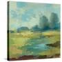 Windsor Blue Field IV-Silvia Vassileva-Stretched Canvas