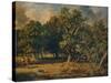 Windsor Forest, c1835-James Stark-Stretched Canvas