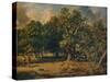 Windsor Forest, c1835-James Stark-Stretched Canvas