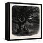 Windsor: the Watch Oak, UK-null-Framed Stretched Canvas