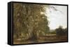 Windsor Woods-Robert Blum-Framed Stretched Canvas
