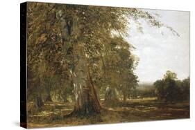 Windsor Woods-Robert Blum-Stretched Canvas