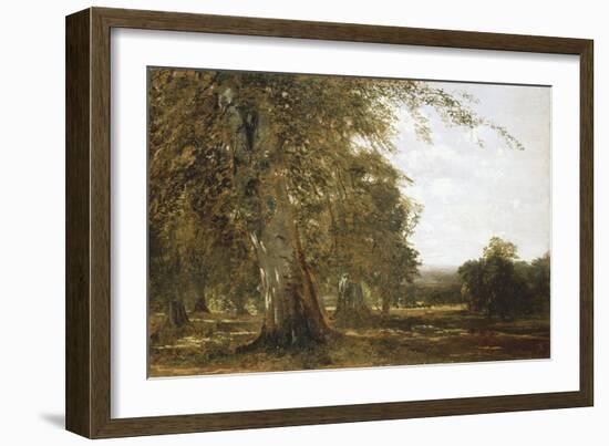 Windsor Woods-Robert Blum-Framed Giclee Print