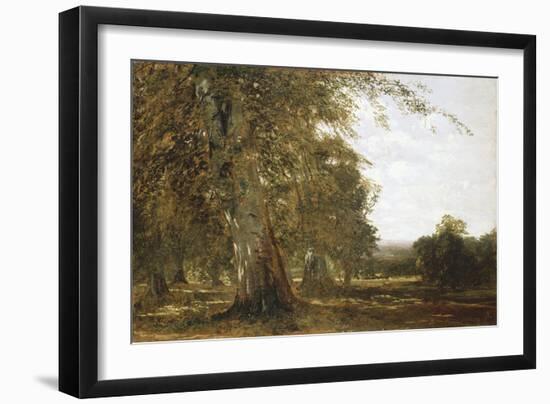 Windsor Woods-Robert Blum-Framed Giclee Print