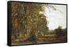 Windsor Woods-Robert Blum-Framed Stretched Canvas