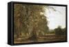 Windsor Woods-Robert Blum-Framed Stretched Canvas