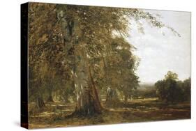 Windsor Woods-Robert Blum-Stretched Canvas