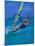 Windsurfer, Aruba, Caribbean-Robin Hill-Mounted Photographic Print