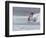 Windsurfer, Hookipa Beach Park, Maui, Hawaii, USA-Cathy & Gordon Illg-Framed Photographic Print