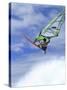 Windsurfer in Midair-null-Stretched Canvas