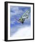 Windsurfer in Midair-null-Framed Photographic Print