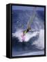 Windsurfer on a Wave-null-Framed Stretched Canvas