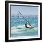 Windsurfer Riding Wave, Bonlonia, Near Tarifa, Costa de La Luz, Andalucia, Spain, Europe-Giles Bracher-Framed Photographic Print