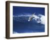 Windsurfer Surfing-null-Framed Premium Photographic Print