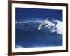 Windsurfer Surfing-null-Framed Photographic Print