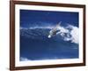 Windsurfer Surfing-null-Framed Photographic Print