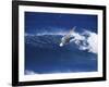 Windsurfer Surfing-null-Framed Photographic Print