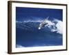 Windsurfer Surfing-null-Framed Photographic Print
