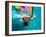 Windsurfing, Aruba, Caribbean-James Kay-Framed Premium Photographic Print