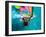 Windsurfing, Aruba, Caribbean-James Kay-Framed Premium Photographic Print