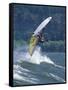 Windsurfing in Hood River, Oregon, USA-Lee Kopfler-Framed Stretched Canvas