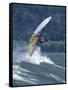 Windsurfing in Hood River, Oregon, USA-Lee Kopfler-Framed Stretched Canvas