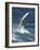 Windsurfing in Hood River, Oregon, USA-Lee Kopfler-Framed Photographic Print