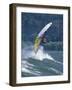 Windsurfing in Hood River, Oregon, USA-Lee Kopfler-Framed Photographic Print