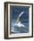 Windsurfing in Hood River, Oregon, USA-Lee Kopfler-Framed Photographic Print