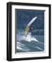 Windsurfing in Hood River, Oregon, USA-Lee Kopfler-Framed Photographic Print