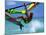 Windsurfing Jumping, Aruba, Caribbean-James Kay-Mounted Photographic Print