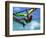 Windsurfing Jumping, Aruba, Caribbean-James Kay-Framed Photographic Print