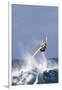 Windsurfing on the Ocean at Sunset, Maui, Hawaii, USA-Gerry Reynolds-Framed Photographic Print