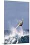 Windsurfing on the Ocean at Sunset, Maui, Hawaii, USA-Gerry Reynolds-Mounted Premium Photographic Print