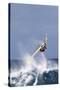Windsurfing on the Ocean at Sunset, Maui, Hawaii, USA-Gerry Reynolds-Stretched Canvas