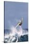 Windsurfing on the Ocean at Sunset, Maui, Hawaii, USA-Gerry Reynolds-Stretched Canvas