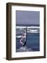 Windsurfing on the Ocean at Sunset, Maui, Hawaii, USA-Gerry Reynolds-Framed Photographic Print