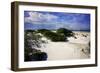 Windswept Beach-Alan Hausenflock-Framed Photographic Print