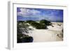 Windswept Beach-Alan Hausenflock-Framed Photographic Print