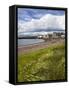 Windswept Grasses by the Shingle Beach at Broughty Ferry, Dundee, Scotland, United Kingdom, Europe-Mark Sunderland-Framed Stretched Canvas