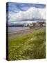 Windswept Grasses by the Shingle Beach at Broughty Ferry, Dundee, Scotland, United Kingdom, Europe-Mark Sunderland-Stretched Canvas