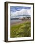 Windswept Grasses by the Shingle Beach at Broughty Ferry, Dundee, Scotland, United Kingdom, Europe-Mark Sunderland-Framed Photographic Print