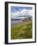 Windswept Grasses by the Shingle Beach at Broughty Ferry, Dundee, Scotland, United Kingdom, Europe-Mark Sunderland-Framed Photographic Print