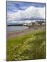 Windswept Grasses by the Shingle Beach at Broughty Ferry, Dundee, Scotland, United Kingdom, Europe-Mark Sunderland-Mounted Photographic Print