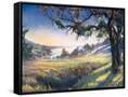 Canvas Black