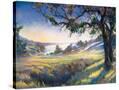 Stretched Canvas