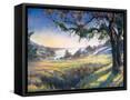 Framed Canvas