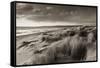 Windswept Sand Dunes on the Beach at Studland Bay, with Views Towards Old Harry Rocks, Dorset-Adam Burton-Framed Stretched Canvas