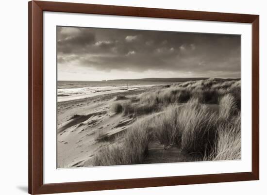 Windswept Sand Dunes on the Beach at Studland Bay, with Views Towards Old Harry Rocks, Dorset-Adam Burton-Framed Photographic Print